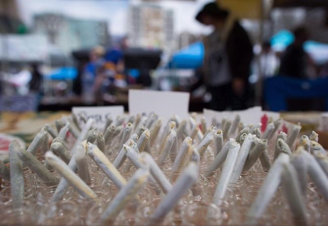 Companies fret about hazy rules around pot use | iNFOnews.ca Companies fret about hazy rules around pot use | iNFOnews.ca