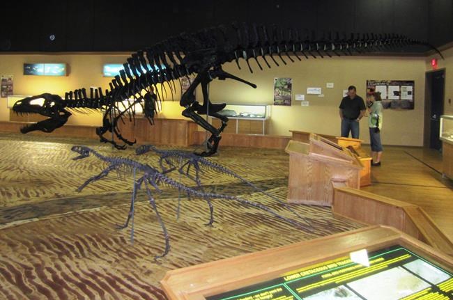B.C. dinosaur museum closes doors over funds, operations feud in Tumbler Ridge | iNFOnews.ca