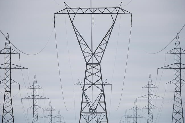 First Nation trying to stop $453M Manitoba-Minnesota power line project | iNFOnews.ca