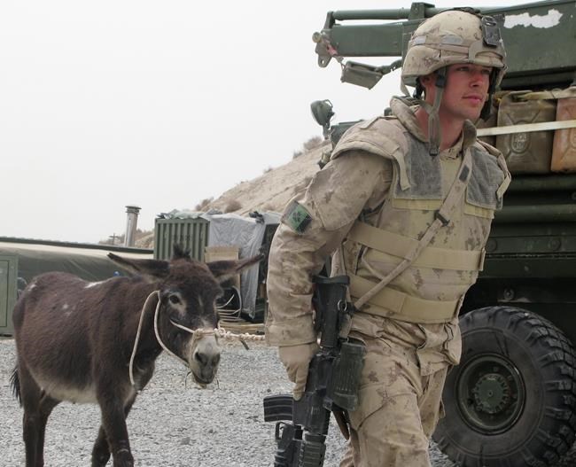 From Gander to Winnie: Remembering those animals who served Canada | iNFOnews.ca CP2055167391
