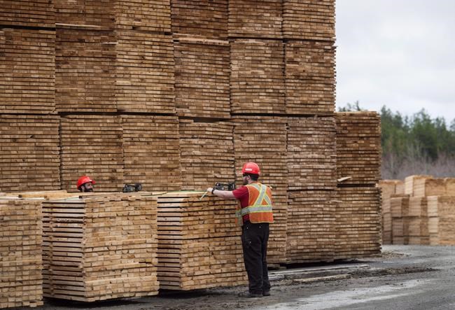Softwood exports to U.S. down but it's not causing big financial pinch | iNFOnews.ca