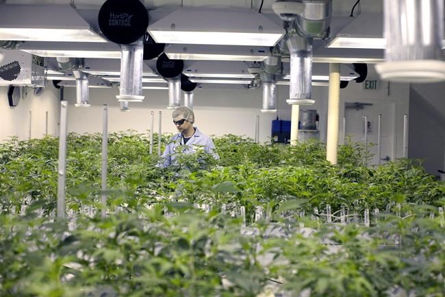 B.C. municipalities eager for finance-reform breakthrough under new government | iNFOnews.ca B.C. municipalities eager for finance-reform breakthrough under new government | iNFOnews.ca