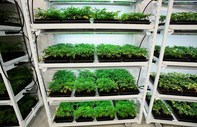 Statistics Canada looking down the drain to determine levels of pot consumption | iNFOnews.ca