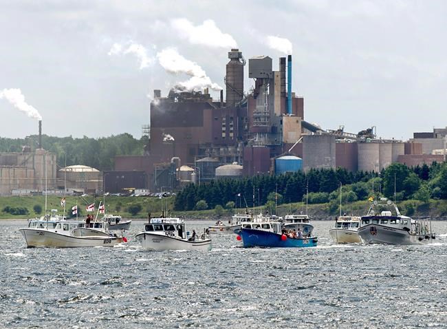 Pressure mounts on Ottawa to review N.S mill's contentious effluent pipeline | iNFOnews.ca Pressure mounts on Ottawa to review N.S mill's contentious effluent pipeline | iNFOnews.ca
