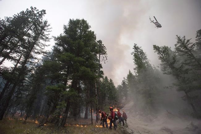 'Makes it more extreme:' Prof says climate change added to historic fire season | iNFOnews.ca 'Makes it more extreme:' Prof says climate change added to historic fire season | iNFOnews.ca