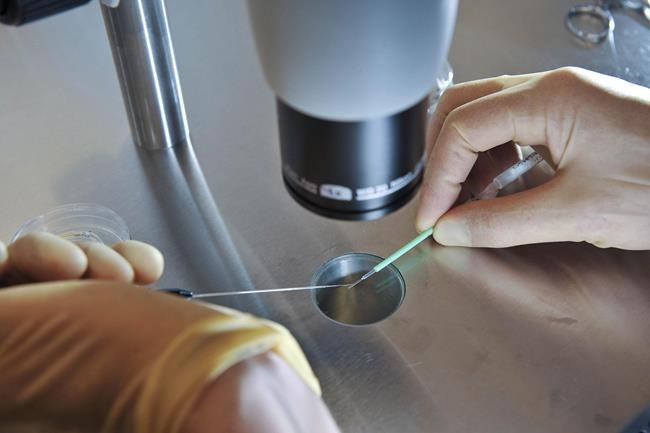Woman sues fertility clinic, says lawsuit highlights need for better regulation | iNFOnews.ca