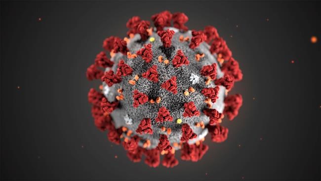 Canadian scientists fight coronavirus pandemic on dozens of fronts | iNFOnews.ca