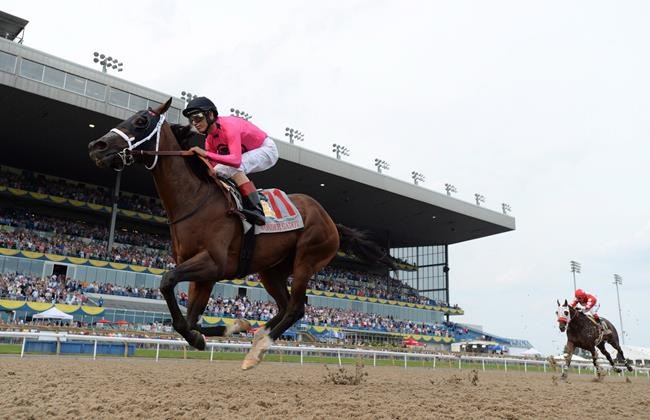 Desert Ride looking to end Sam-Son Farm's drought in Queen's Plate | iNFOnews.ca CP513976658