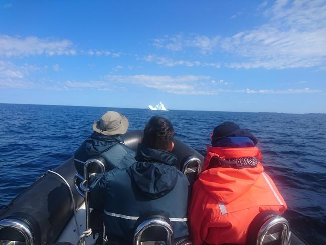 N.L. tour operators optimistic despite bleak start to iceberg season | iNFOnews.ca N.L. tour operators optimistic despite bleak start to iceberg season | iNFOnews.ca