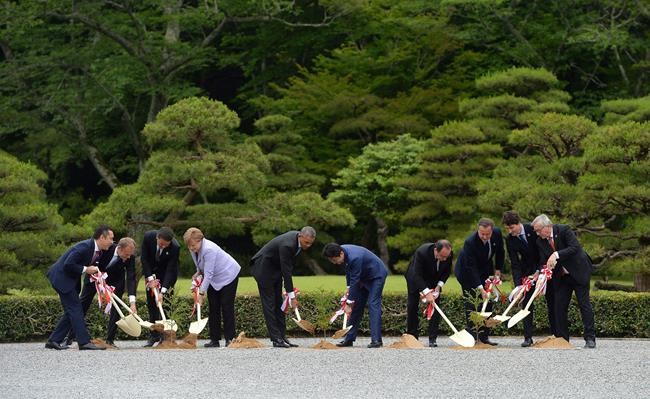 Green economy think tank gives thumbs up to tree planting promise | iNFOnews.ca