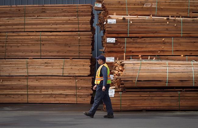 Threat of economic turmoil over softwood tariff becomes B.C. election issue | iNFOnews.ca CP1888361440