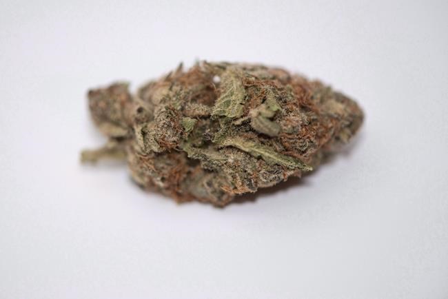 LCBO chooses Shopify to run online cannabis sales; more pot retail news expected | iNFOnews.ca