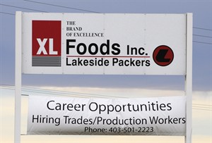 CP20655876