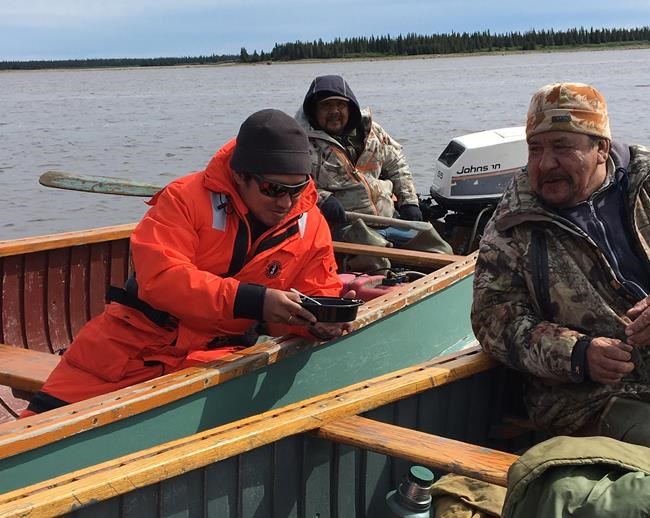 Cree suspect Hydro-Quebec behind disappearance of local geese, eelgrass meadows | iNFOnews.ca Cree suspect Hydro-Quebec behind disappearance of local geese, eelgrass meadows | iNFOnews.ca
