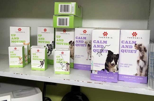 Pot-based medical pet products closer to fruition as research grows | iNFOnews.ca