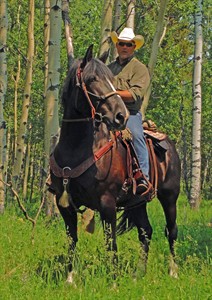 CP29518906