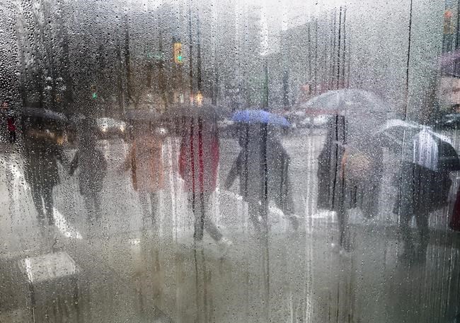 Canadian weather in 2017 saw 'too much' of everything: chief climatologist | iNFOnews.ca CP1662486895
