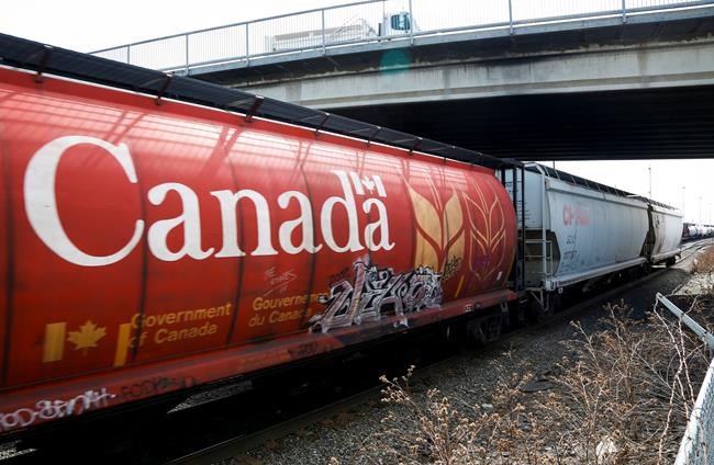 Farm groups say they can't get grain transport meeting with transport minister | iNFOnews.ca CP1665713414
