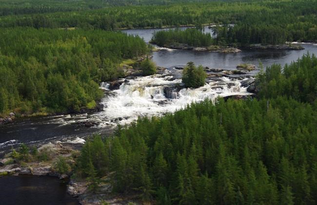 Stretch of Canadian boreal forest deemed a UNESCO world heritage site | iNFOnews.ca