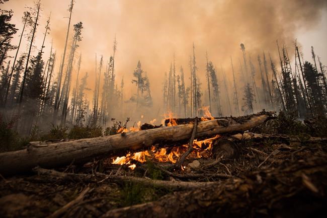 Smoke from wildfire is like a 'chemical soup,' says fire researcher | iNFOnews.ca Smoke from wildfire is like a 'chemical soup,' says fire researcher | iNFOnews.ca