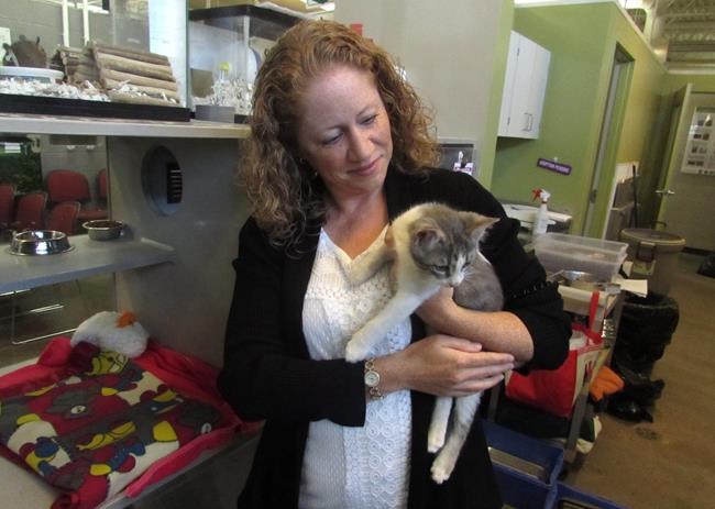 'Lost everything:' Economic Downturn forces people to give up animal friends | iNFOnews.ca 'Lost everything:' Economic Downturn forces people to give up animal friends | iNFOnews.ca