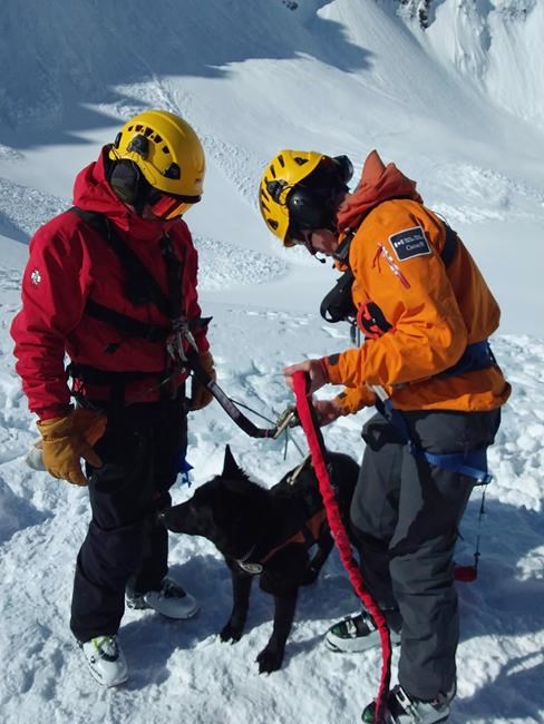 Experts call for ice climbers to wear avalanche safety gear in the mountains | iNFOnews.ca