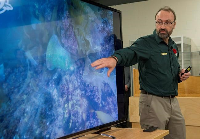COVID-19 puts brakes on further exploration of Franklin wrecks | iNFOnews.ca
