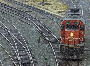 CP19739936