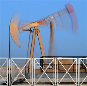 CP19207755