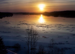 CP28073875