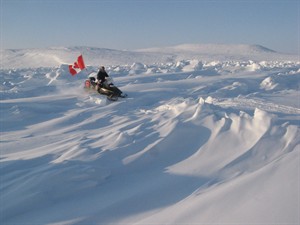 CP28119329