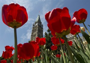 Today on the Hill: Summer recess beckons as MPs run out the parliamentary clock | iNFOnews.ca CP28725613