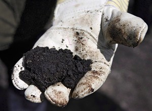 First Nations report says heavy metals from oilsands operations in area wildlife | iNFOnews.ca CP29050001
