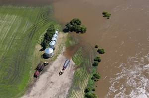 CP29089483