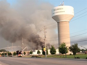 Production to resume at fire-damaged vegetable plant near Windsor, Ont. | iNFOnews.ca CP29210250