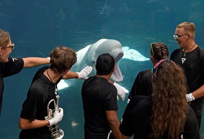 Connecticut lawmakers urged to spend more on tourism efforts | iNFOnews.ca Connecticut lawmakers urged to spend more on tourism efforts | iNFOnews.ca