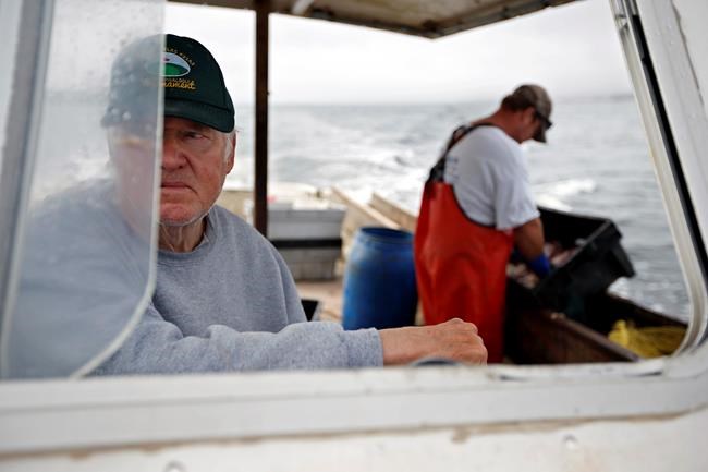 New rules for lobstering in southern New England up for vote | iNFOnews.ca