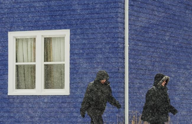 Snowfall blankets much of Maritimes, cancelling classes and delaying travel | iNFOnews.ca
