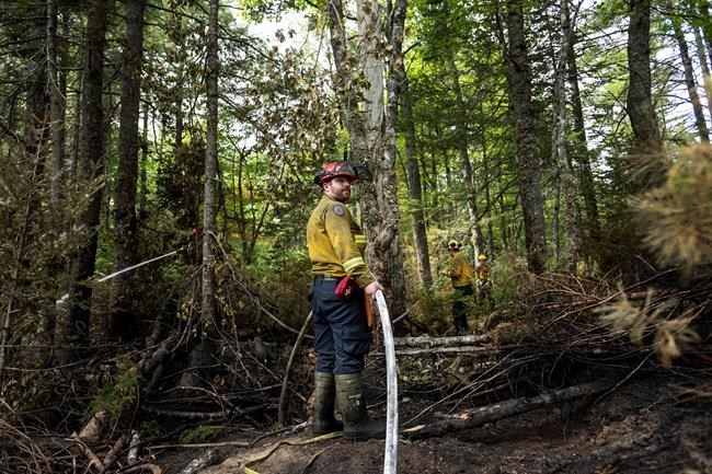 Nova Scotia making 'significant progress' against wildfires after a tough week | iNFOnews.ca Nova Scotia making 'significant progress' against wildfires after a tough week | iNFOnews.ca