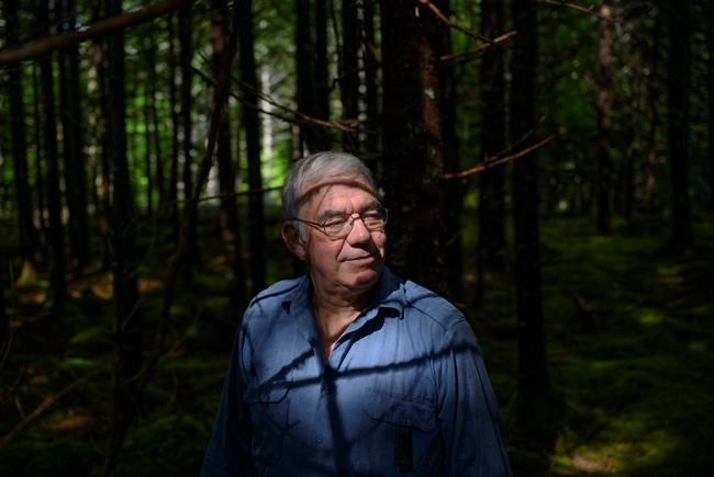 For some N.S. woodlot owners, end of controversial pulp mill not seen as disaster | iNFOnews.ca For some N.S. woodlot owners, end of controversial pulp mill not seen as disaster | iNFOnews.ca