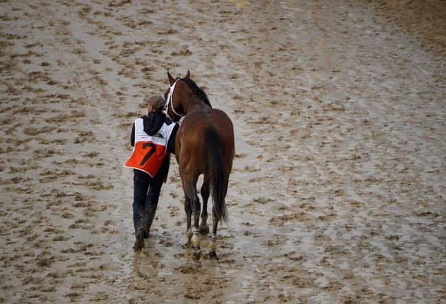 Kentucky Derby shocker: Country House wins via DQ | iNFOnews.ca