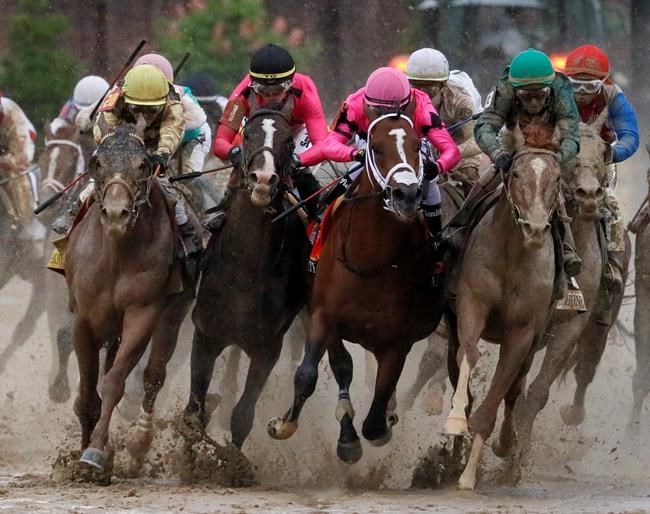 Maximum Security's Preakness status unclear after Derby DQ | iNFOnews.ca