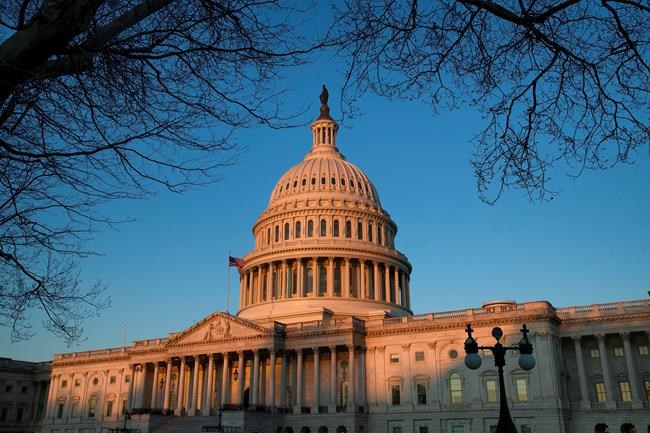 Democrats debate Mueller strategy as findings loom | iNFOnews.ca