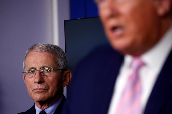 Battling exhaustion and trolls, Fauci says he's OK | iNFOnews.ca Battling exhaustion and trolls, Fauci says he's OK | iNFOnews.ca