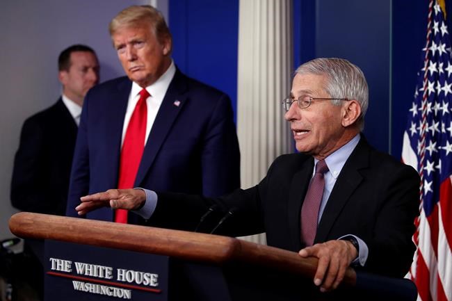 Trump threatens to fire Fauci in rift with disease expert | iNFOnews.ca