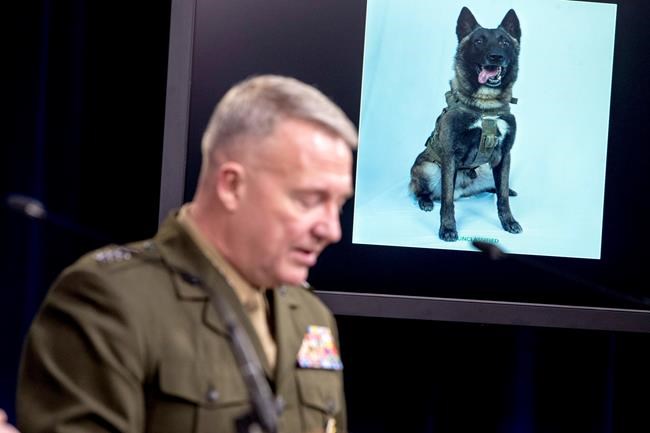 Trump wants to honour dog from Syria mission at White House | iNFOnews.ca