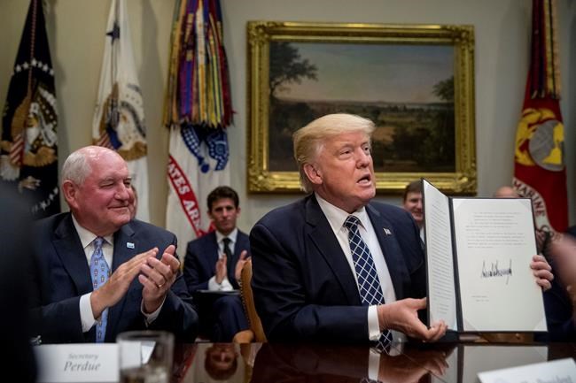 The Latest: Trump to sign executive order on education | iNFOnews.ca The Latest: Trump to sign executive order on education | iNFOnews.ca