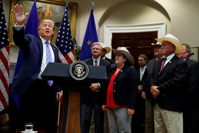 Trump says new agreement with EU will boost beef exports | iNFOnews.ca CP1782976794