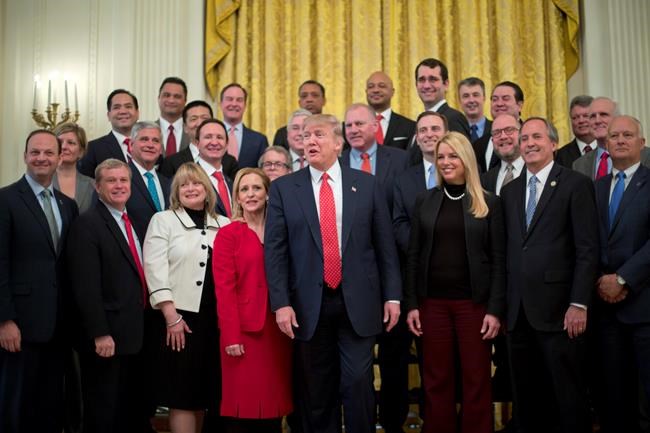 The Latest: Trump open to options for immigrants | iNFOnews.ca