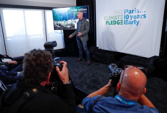'Middle of the herd' no more: Amazon tackles climate change | iNFOnews.ca 'Middle of the herd' no more: Amazon tackles climate change | iNFOnews.ca